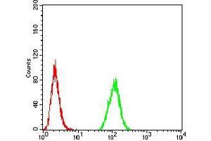 Flow cytometric analysis of Hela cells using MGMT mouse mAb (green) and negative control (red). (MGMT 抗体  (AA 32-210))