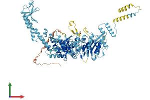 AlphaFold protein structure predicition of Human Recombinant MSH5 Protein, UniprotID O43196