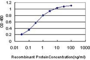Detection limit for recombinant GST tagged HIP1R is approximately 0. (HIP1R 抗体  (AA 969-1066))