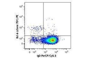 Flow Cytometry (FACS) image for anti-B-Cell CLL/lymphoma 6 (BCL6) antibody (PE) (ABIN2662403) (BCL6 抗体  (PE))