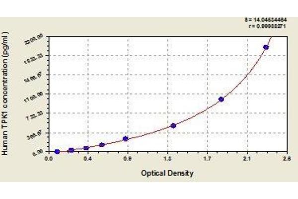 TPK1 ELISA 试剂盒