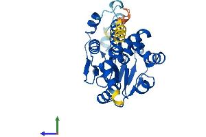 Protein Structure (PS) image for Enoyl CoA Hydratase Domain Containing 1 (ECHDC1) (AA 1-307) protein (His tag) (ABIN7547330)