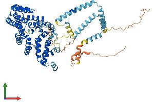 Protein Structure (PS) image for Suppression of Tumorigenicity 7 Like (ST7L) (AA 1-575) protein (His tag) (ABIN7544033)