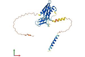 Protein Structure (PS) image for Receptor (Chemosensory) Transporter Protein 1 (RTP1) (AA 1-263) protein (His tag) (ABIN7551604)
