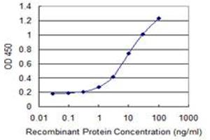 Detection limit for recombinant GST tagged EXOSC4 is 0. (EXOSC4 抗体  (AA 1-100))