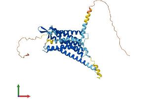 AlphaFold protein structure predicition of Human Recombinant OXTR Protein, UniprotID P30559
