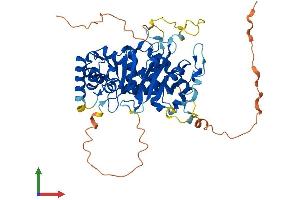 Protein Structure (PS) image for Cytidine and DCMP Deaminase Domain Containing 1 (CDADC1) (AA 1-514) protein (His tag) (ABIN7553110)
