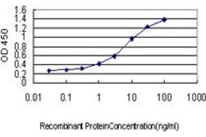Detection limit for recombinant GST tagged CCNB1 is approximately 0. (Cyclin B1 抗体  (AA 1-90))