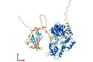 AlphaFold protein structure predicition of Human Recombinant PIF1 Protein, UniprotID Q9H611