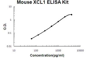 Mouse XCL1/Lymphotactin Accusignal ELISA Kit Mouse XCL1/Lymphotactin AccuSignal ELISA Kit standard curve. (XCL1 ELISA 试剂盒)