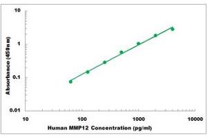 Representative Standard Curve (MMP12 ELISA 试剂盒)