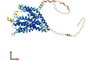 AlphaFold protein structure predicition of Human Recombinant SLC1A5 Protein, UniprotID Q15758 (SLC1A5 Protein (AA 1-541) (His tag))