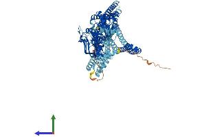 Protein Structure (PS) image for ATP-Binding Cassette, Sub-Family B (MDR/TAP), Member 9 (ABCB9) (AA 1-762) protein (His tag) (ABIN7565097)