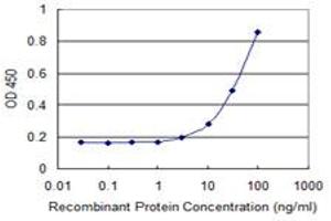 Detection limit for recombinant GST tagged FAS is 1 ng/ml as a capture antibody. (FAS 抗体  (AA 1-335))