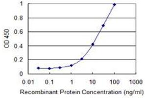 Detection limit for recombinant GST tagged WWTR1 is 0. (WWTR1 抗体  (AA 201-300))