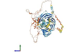 AlphaFold protein structure predicition of Human Recombinant TAF1C Protein, UniprotID Q15572