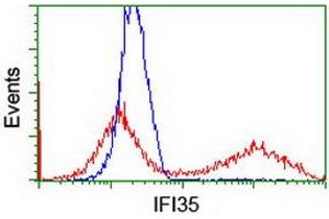 HEK293T cells transfected with either RC200929 overexpress plasmid (Red) or empty vector control plasmid (Blue) were immunostained by anti-IFI35 antibody (ABIN2454902), and then analyzed by flow cytometry. (IFI35 抗体)