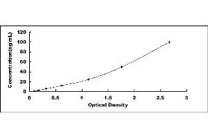 Typical standard curve (VKORC1 ELISA 试剂盒)