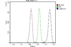 Flow Cytometry analysis of JK cells using anti-LAMTOR1 antibody (ABIN7601249).