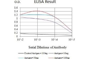 Black line: Control Antigen (100 ng),Purple line: Antigen (10 ng), Blue line: Antigen (50 ng), Red line:Antigen (100 ng) (CDKN1C 抗体)