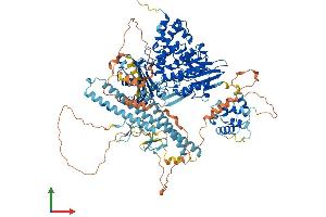 Protein Structure (PS) image for Microtubule Associated Monoxygenase, Calponin and LIM Domain Containing 1 (MICAL1) (AA 1-1048) protein (His tag) (ABIN7564748)