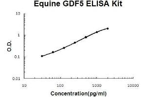 Horse equine GDF5 PicoKine ELISA Kit standard curve (GDF5 ELISA 试剂盒)