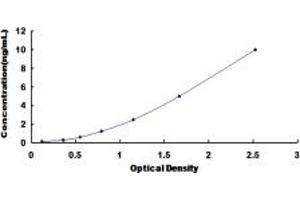 Typical standard curve (MTFMT ELISA 试剂盒)