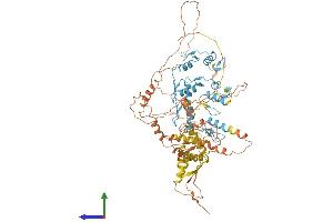 Protein Structure (PS) image for Zinc Finger and BTB Domain Containing 24 (ZBTB24) (AA 1-697) protein (His tag) (ABIN7545241)
