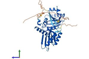Protein Structure (PS) image for Ras-Related GTP Binding B (RRAGB) (AA 1-374) protein (His tag) (ABIN7557955)