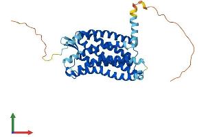 Protein Structure (PS) image for Chemokine (C-C Motif) Receptor 5 (CCR5) (AA 1-352) protein (His tag) (ABIN7553052)