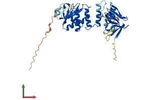 Protein Structure (PS) image for Dual Specificity Phosphatase 12 (DUSP12) (AA 1-339) protein (His tag) (ABIN7560853)