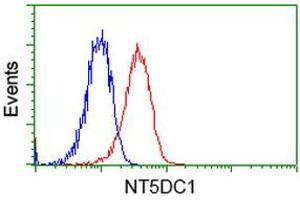 Image no. 1 for anti-5'-Nucleotidase Domain Containing 1 (NT5DC1) antibody (ABIN1499833) (NT5DC1 抗体)