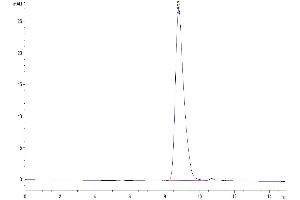 Size-exclusion chromatography-High Pressure Liquid Chromatography (SEC-HPLC) image for CD226 (CD226) (AA 19-252) protein (His tag) (ABIN7274454)