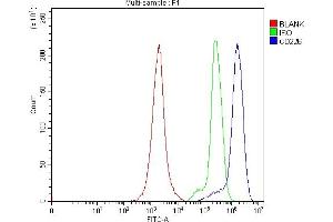 Flow Cytometry analysis of Jurkat cells using anti-CD226 antibody (ABIN7600405).