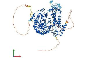 Protein Structure (PS) image for Dihydrouridine Synthase 3-Like (DUS3L) (AA 1-637) protein (His tag) (ABIN7560092)