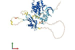 AlphaFold protein structure predicition of Mouse Recombinant Prkaa2 Protein, UniprotID Q8BRK8