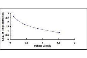 ELISA image for Somatostatin (SST) ELISA Kit (ABIN416078)