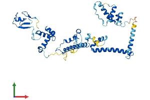 Protein Structure (PS) image for Transcriptional Adaptor 2B (TADA2B) (AA 1-420) protein (His tag) (ABIN7544090)