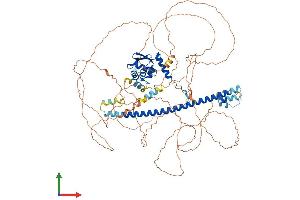 Protein Structure (PS) image for BTB and CNC Homology 1, Basic Leucine Zipper Transcription Factor 2 (BACH2) (AA 1-839) protein (His tag) (ABIN7563540)