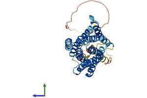 Protein Structure (PS) image for Solute Carrier Family 39 (Metal Ion Transporter), Member 11 (SLC39A11) (AA 1-342) protein (His tag) (ABIN7558979)