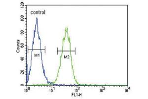 Flow Cytometry (FACS) image for anti-Cartilage Oligomeric Matrix Protein (COMP) antibody (ABIN3002869) (COMP 抗体)