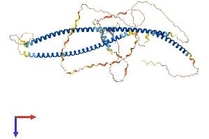 TBKBP1 Protein (AA 1-615) (His tag)