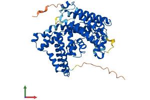 Protein Structure (PS) image for Membrane Bound O-Acyltransferase Domain Containing 1 (MBOAT1) (AA 1-492) protein (His tag) (ABIN7564354)
