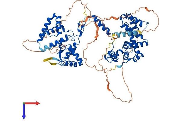 RGS Protein (AA 1-674) (His tag)