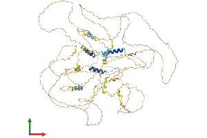 AlphaFold protein structure predicition of Mouse Recombinant Synpo Protein, UniprotID Q8CC35