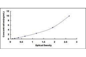 ELISA image for Thrombomodulin (THBD) ELISA Kit (ABIN416010)