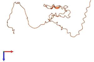 AlphaFold protein structure predicition of Human Recombinant KRTAP2-1 Protein, UniprotID Q9BYU5