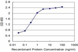 Detection limit for recombinant GST tagged SYNE2 is approximately 0. (SYNE2 抗体  (AA 6702-6799))