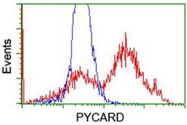 PYCARD 抗体