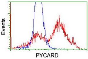 Image no. 8 for anti-PYD and CARD Domain Containing (PYCARD) antibody (ABIN1500518) (PYCARD 抗体)